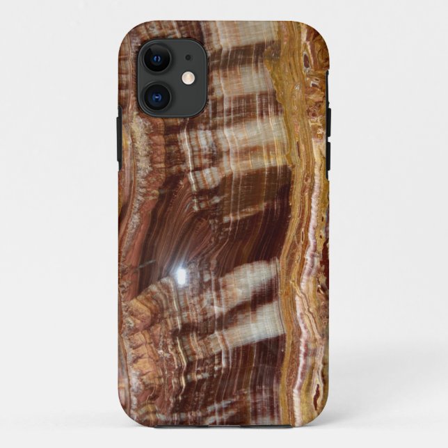 Not Bacon... Polished Geode Slice iPhone 5 Case (Back)