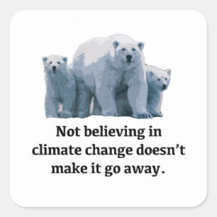 Not believing in climate change square sticker