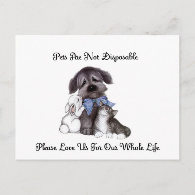 not disposable postcard (Front)