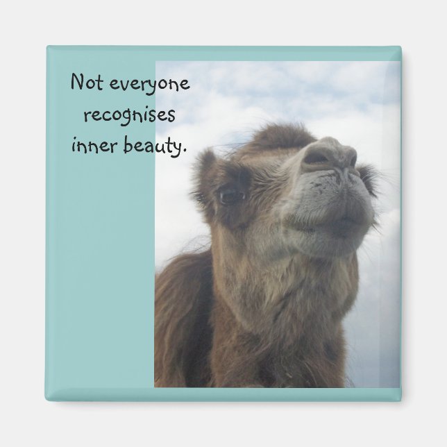 Not everyone recognises inner beauty. magnet (Front)