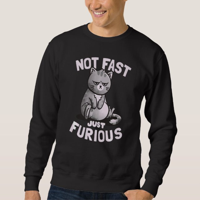 Not Fast Just Furious Cute Funny Cat Sweatshirt (Front)