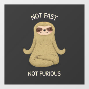 Not Fast Not Furious