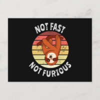 Not Fast Not Furious sloth