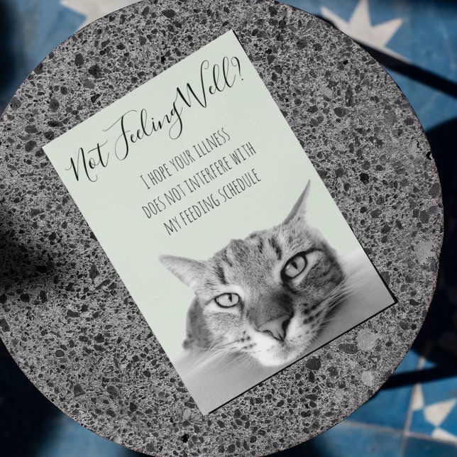 Not Feeling Well Get Well Soon From Cat Humour Card (Creator Uploaded)