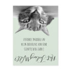 Not Feeling Well Get Well Soon From Cat Humour