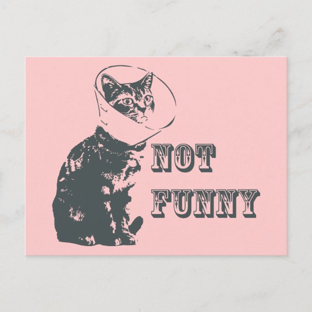 Not Funny Postcard (Front)