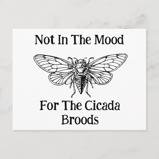 Not In The Mood For The Cicada Broods Postcard (Front)