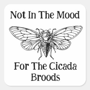 Not In The Mood For The Cicada Broods Square Sticker