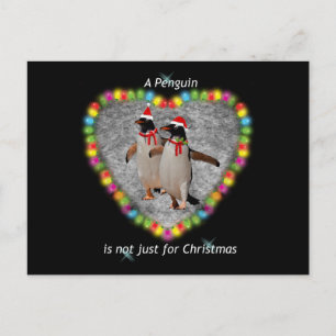 Not Just for Christmas Postcard