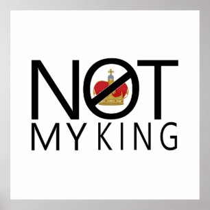 Not My King Poster