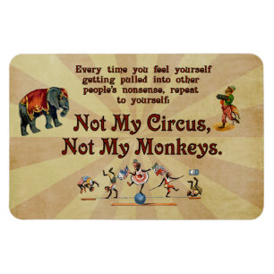 Not My Monkeys, Not My Circus Magnet