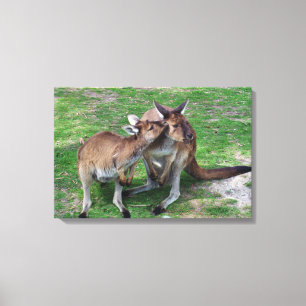 Not Now Skippy Canvas Print