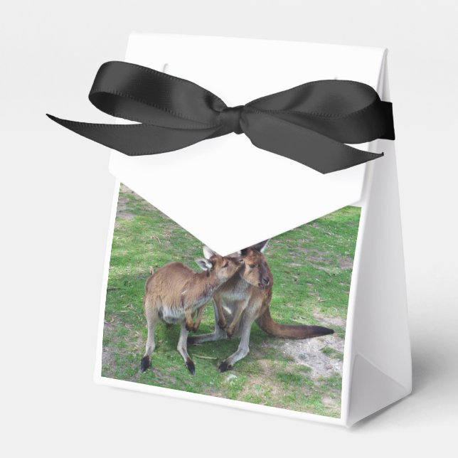 Not Now Skippy Favour Box (Front Side)