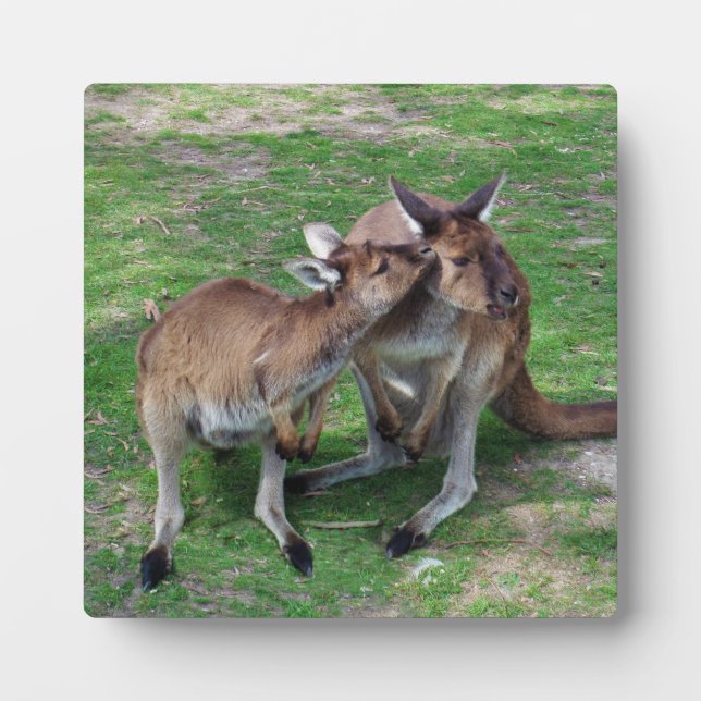 Not Now Skippy Plaque (Front)