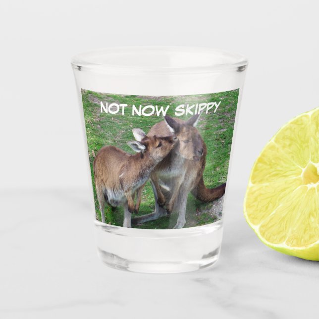 Not Now Skippy Shot Glass (Front)