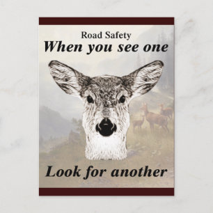 Not One Deer Postcard