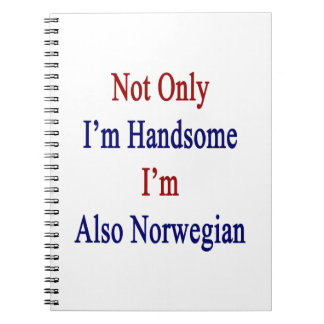 Not Only I'm Handsome I'm Also Norwegian Notebook