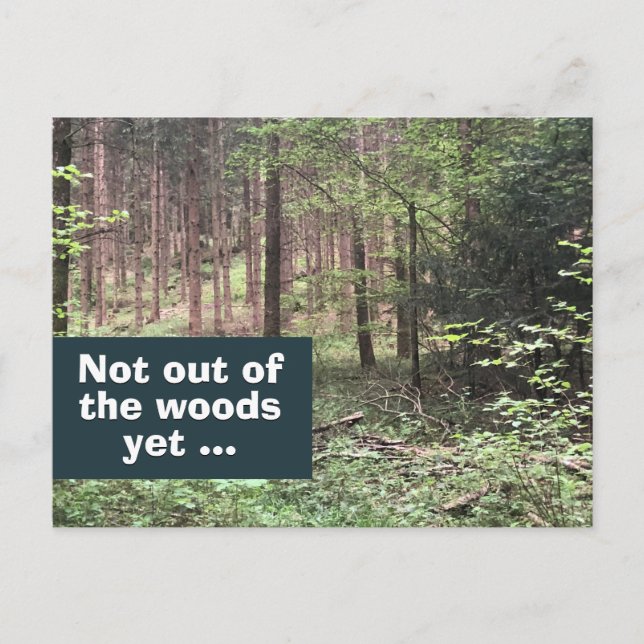 Not Out of the Woods Yet Quarantine in Nature Postcard (Front)