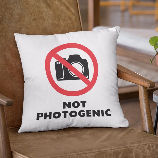 Not Photogenic - No Photos Sign Cushion (Creator Uploaded)