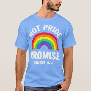 Not Pride Promise Lgbt Christian Men Women Pride M T-Shirt