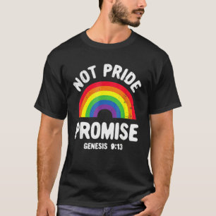 Not Pride Promise Lgbt Christian Men Women Pride M T-Shirt