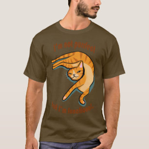 Not Purrfect But Functional T-Shirt