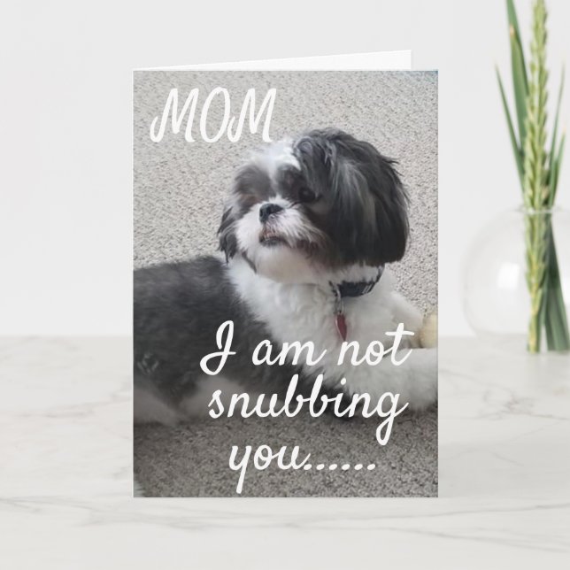 **NOT SNUBBING YOU MOM BUT WISHING U BIRTHDAY" CARD (Front)