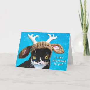 Not So Jolly Cat Card