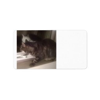 Not Talking to you Dave Address Labels