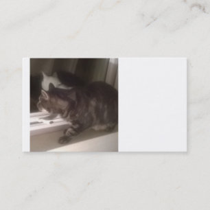 Not Talking to you Dave Business Cards