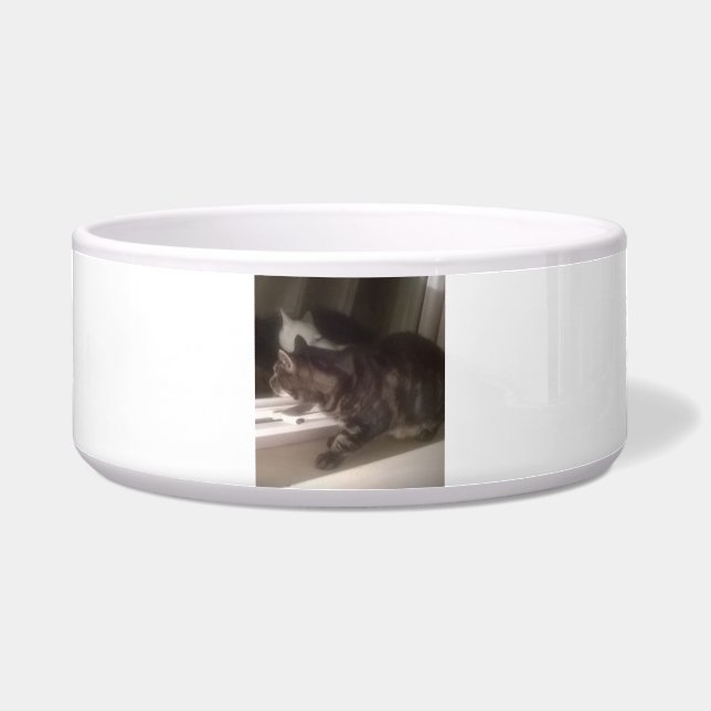 Not Talking to you Dave Large Pet Bowl (Front)