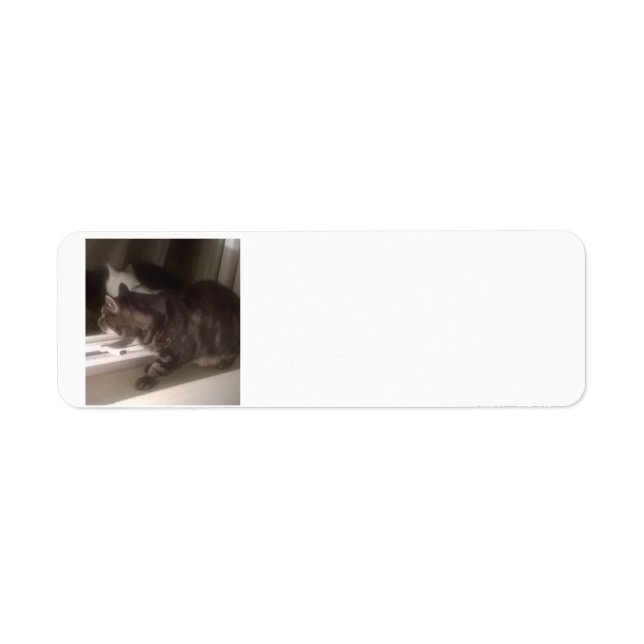 Not Talking to you Dave Return Address Labels (Front)