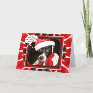 Not The Hat `n Scarf Again Holiday Card