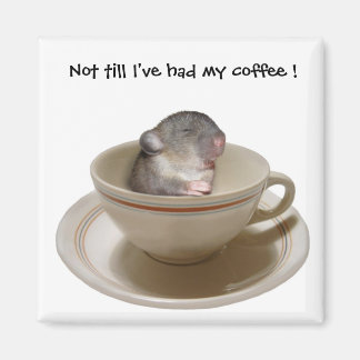 Not till I've had my coffee Magnet