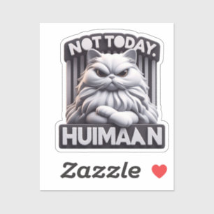 Not Today Huimaan Grumpy Cat Vinyl Sticker