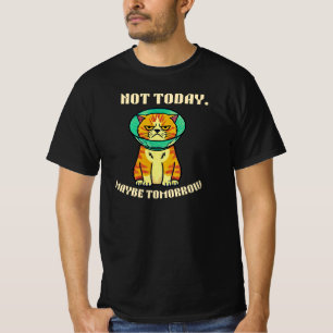 Not Today Maybe Tomorrow Funny Grumpy Cat Design T-Shirt