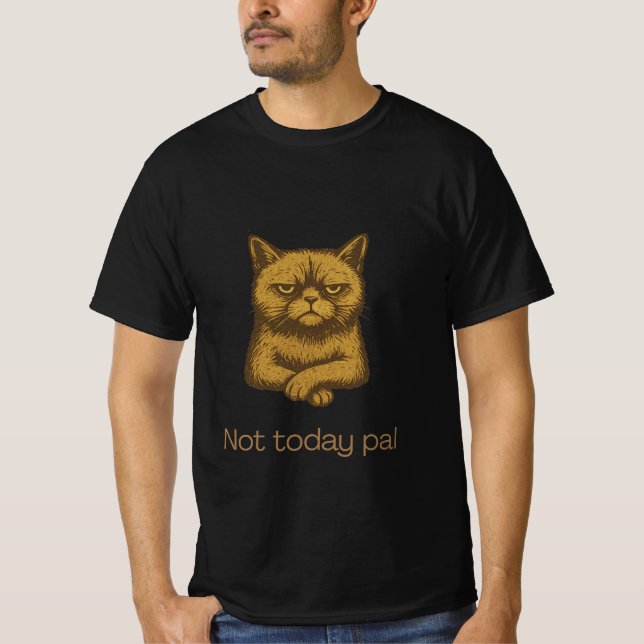 Not Today Pal Cat Shirt – Grumpy Cat Lover Tee  (Front)
