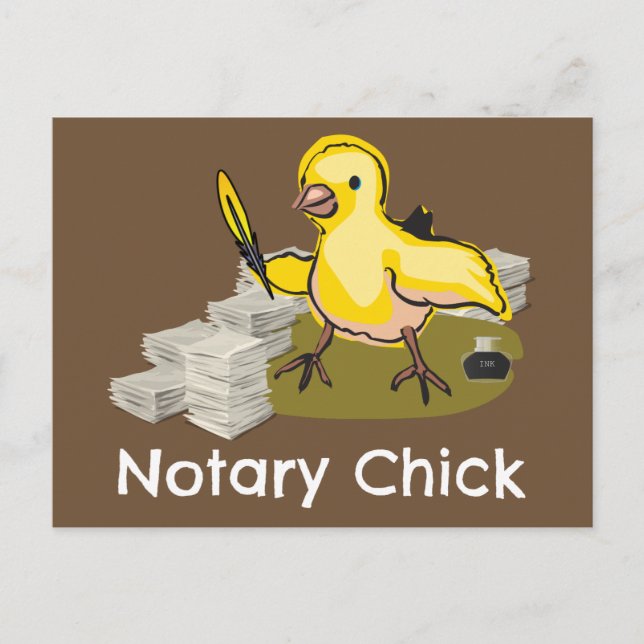 Notary Chick with Feather Quill and Documents Postcard (Front)