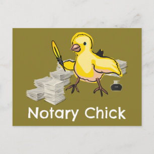 Notary Chick Yellow Feather Quill and Documents Postcard