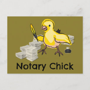 Notary Chick Yellow Feather Quill and Documents Postcard