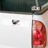 Notary Public Bumper Sticker (On Truck)