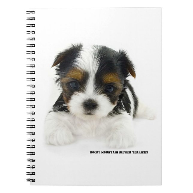 Note Book 80 Pages - Biewer Terrier Puppy (Front)