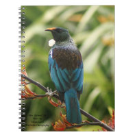 Note Book, New Zealand Tui Bird
