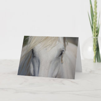 Note Card