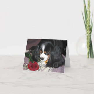 Note card