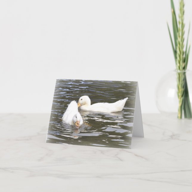 Note Card: Aylesbury Ducklings Card (Front)
