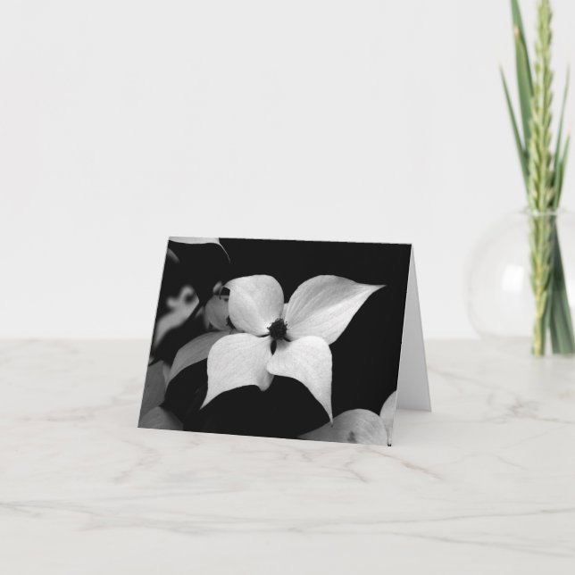 Note Card - B/W Dogwood (Front)