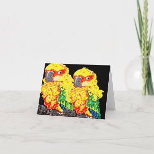 Note Card Blank inside Parrots