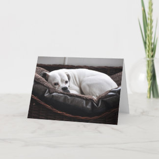 Note Card: Boxer dog Card