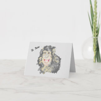 Note Card : chimpanzee's World
